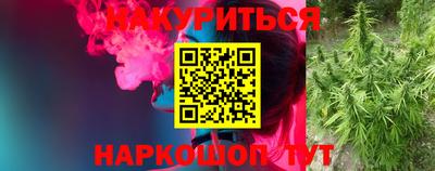 прущие грибы Тара