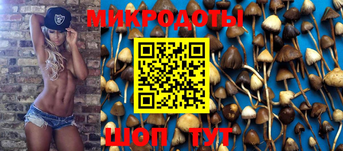 Моздок  Псилоцибиновые грибы Magic Shrooms  Вход с VPN 