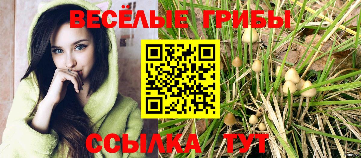 Псилоцибиновые грибы MAGIC MUSHROOMS Моздок